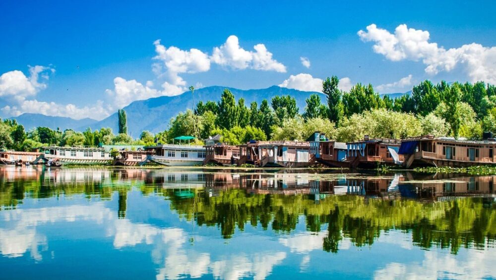 kashmir