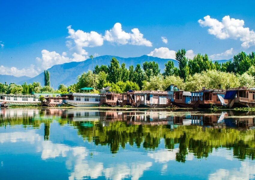 kashmir