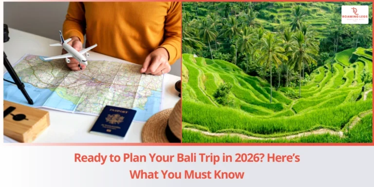 8 Day Relaxed plan for Bali from India