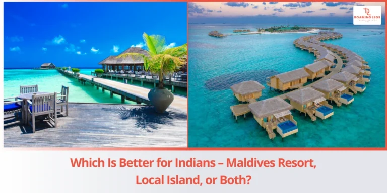 Complete India to Vietnam Tour Guide - Visa, Flights & Travel Tips