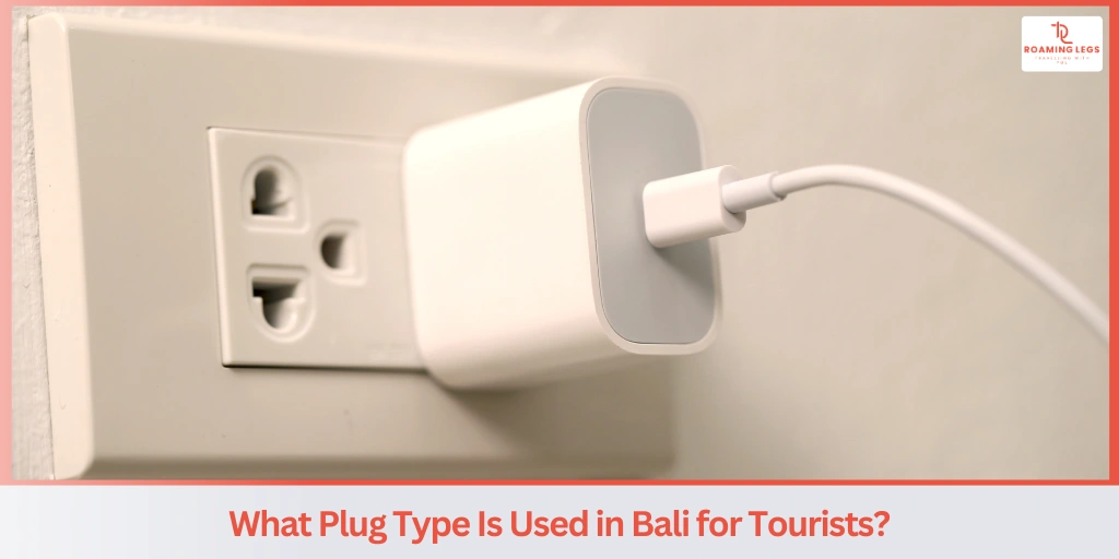 What Power Plug Types Are Used in Bali?​