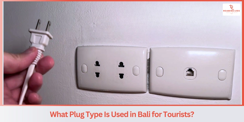 What Power Plug Types Are Used in Vietnam? (Vietnam Plug Type)