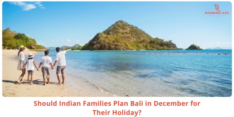 Bali famly tour dec