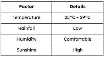 Weather Snapshot
