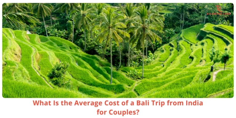 Bali couple tour costing guide