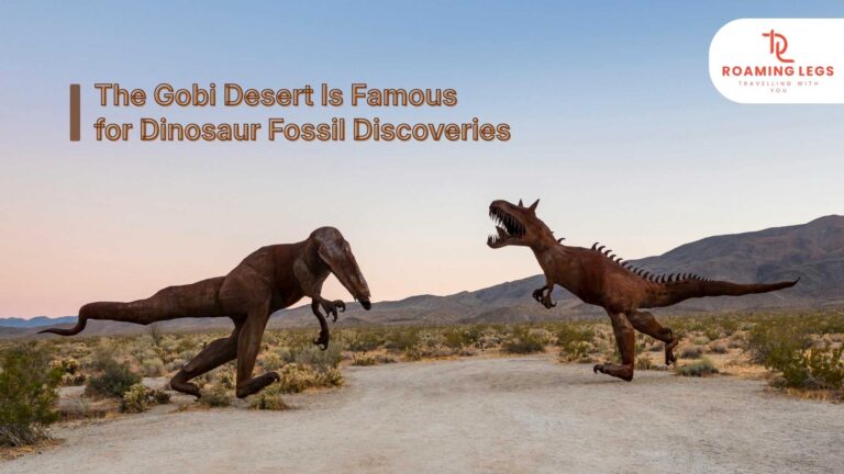 Gobi Desert Is Much More Than Just Sand Dunes