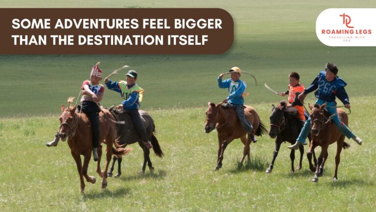 Horse riding adventures