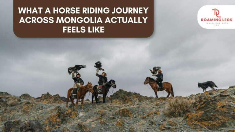 Horse riding journey