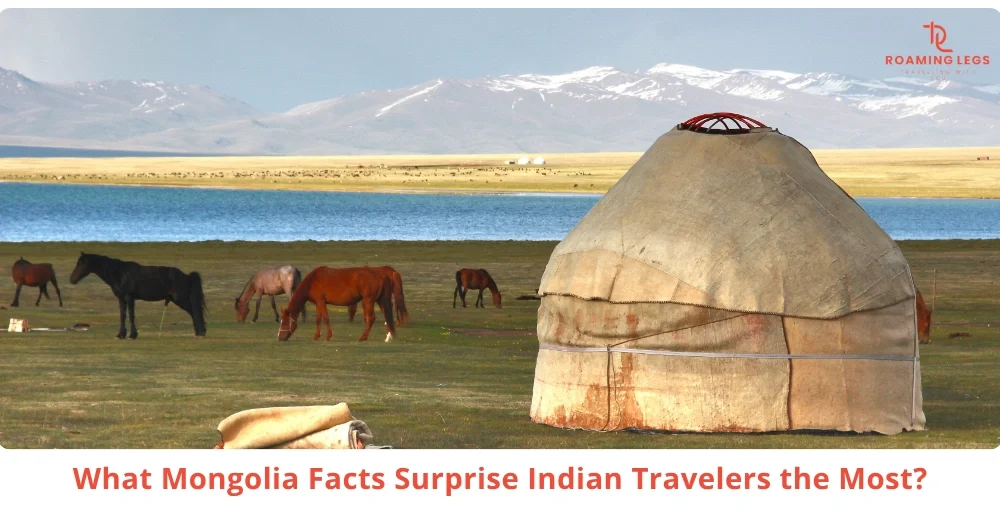 10 Things Indians Don’t Know About Mongolia Before Visiting 18 Mongolia’s Lifestyle Surprises Most Indian Travelers