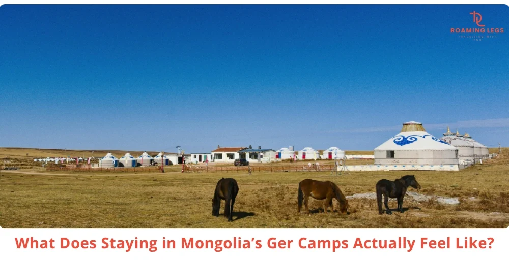 Inside Mongolia’s Ger Camps: What Indian Travelers Should Expect 25 What Staying Inside a Mongolia Ger Camp Actually Feels Like
