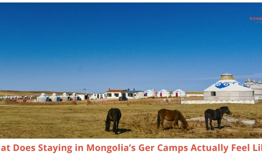 What Staying Inside a Mongolia Ger Camp Actually Feels Like