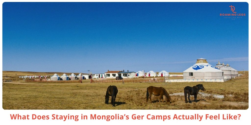 Blogs 13 What Staying Inside a Mongolia Ger Camp Actually Feels Like