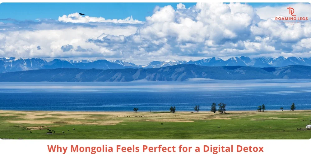 Why Mongolia Is Becoming a Favorite Destination for Digital Detox Travel 22 Why More Professionals Are Searching for Digital Detox Experiences