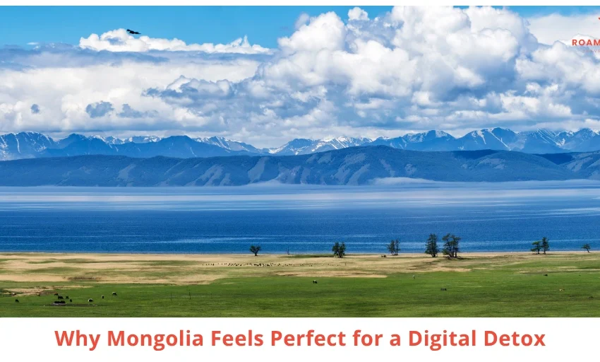 Why More Professionals Are Searching for Digital Detox Experiences
