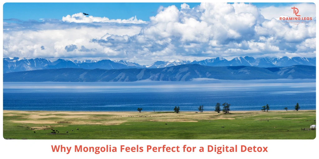 Why More Professionals Are Searching for Digital Detox Experiences