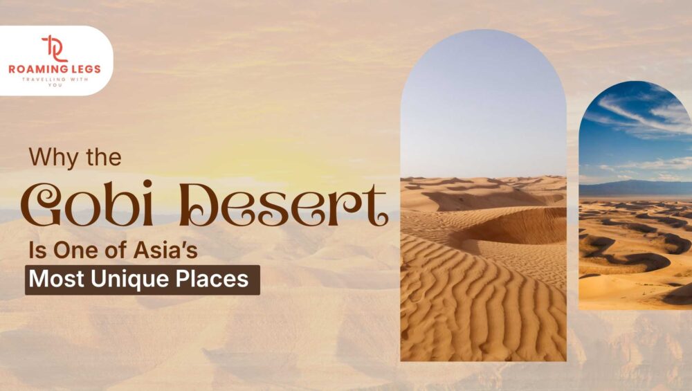 What Makes the Gobi Desert Famous Among Travelers and Explorers 9 gobi desert