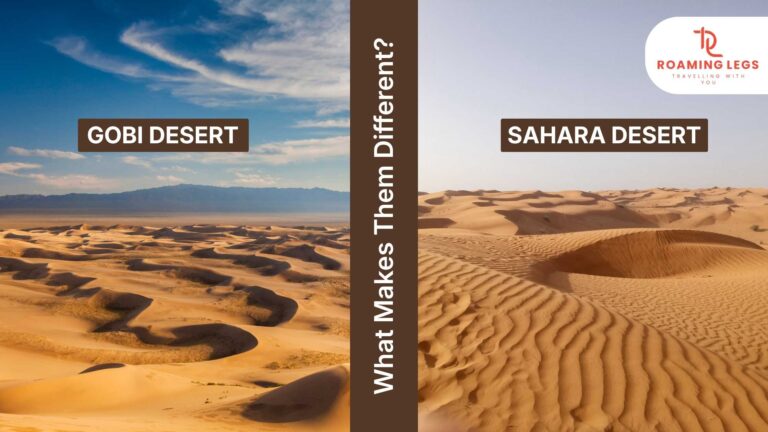 gobi desert vs sahara desert