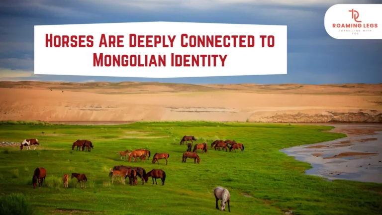 horses are mongolia identity