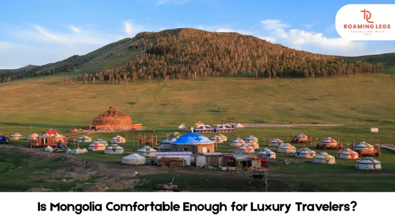 mongolia comfortable