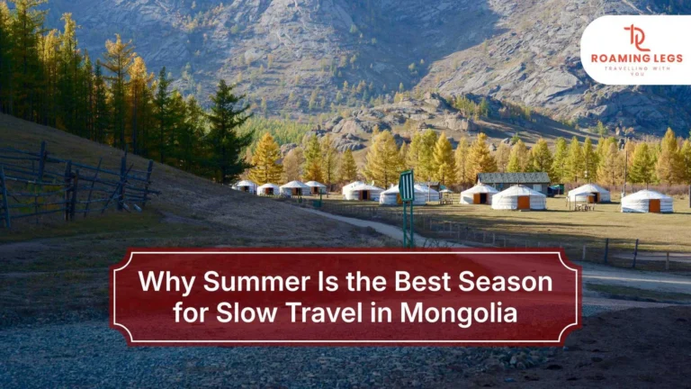 summer is the best season travel in mongolia