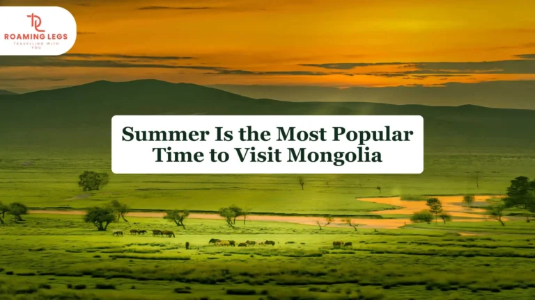 summer is the most popular