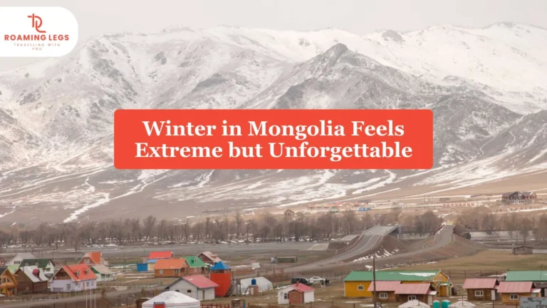 winter in mongolia
