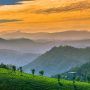 kerala