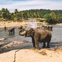 srilanka 1